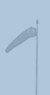 windsock